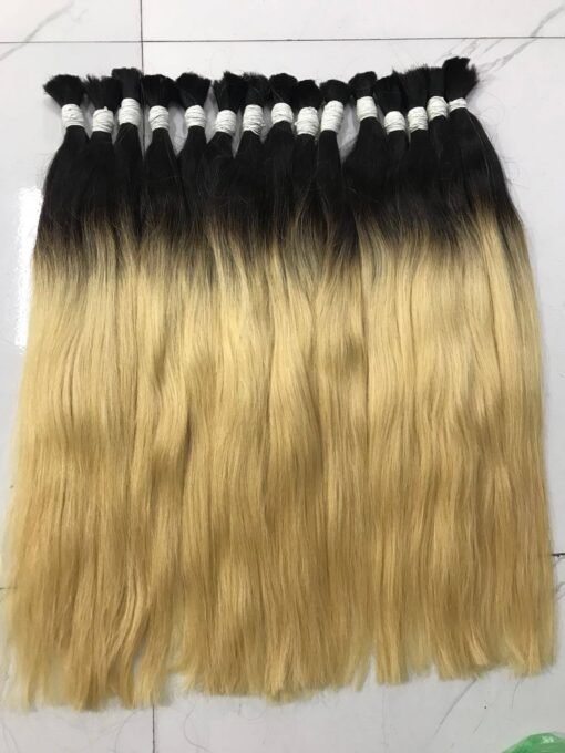 Ombre hair  color  #1b/#60