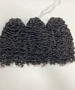 Burmese Curly